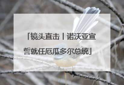 镜头直击丨诺沃亚宣誓就任厄瓜多尔总统