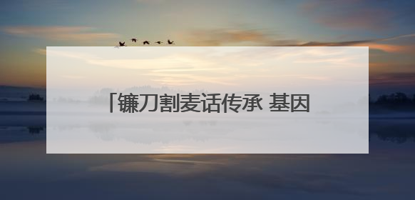 镰刀割麦话传承 基因育种启新程——第十届杨凌小麦文化节见证“颗粒归仓”时空跨越