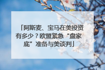 阿斯麦、宝马在美投资有多少？欧盟紧急“盘家底”准备与美谈判