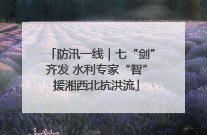防汛一线｜七“剑”齐发 水利专家“智”援湘西北抗洪流