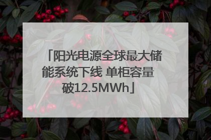 阳光电源全球最大储能系统下线 单柜容量破12.5MWh