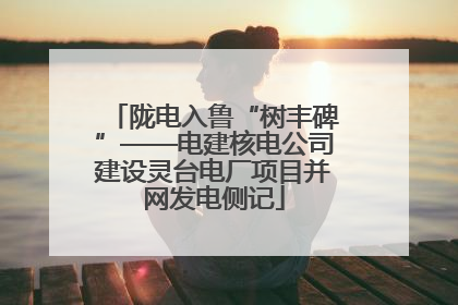 陇电入鲁“树丰碑”——电建核电公司建设灵台电厂项目并网发电侧记
