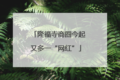 隆福寺商圈今起又多一“网红”