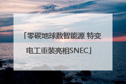 零碳地球数智能源 特变电工重装亮相SNEC