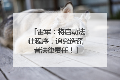 雷军：将启动法律程序，追究造谣者法律责任！