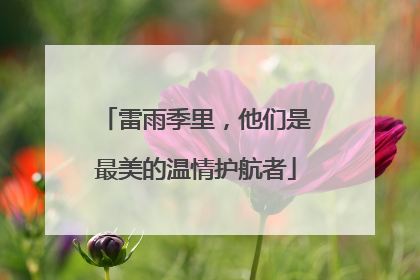 雷雨季里，他们是最美的温情护航者