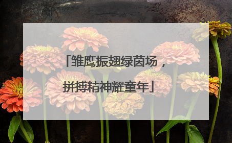 雏鹰振翅绿茵场，拼搏精神耀童年