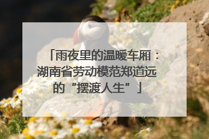 雨夜里的温暖车厢：湖南省劳动模范郑道远的“摆渡人生”