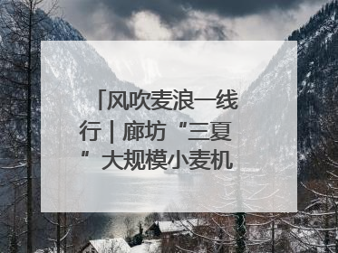 风吹麦浪一线行｜廊坊“三夏”大规模小麦机收全面开始