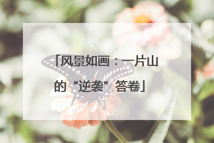 风景如画：一片山的“逆袭”答卷