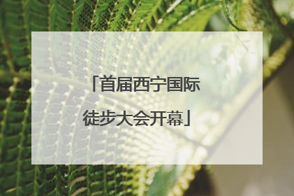 首届西宁国际徒步大会开幕