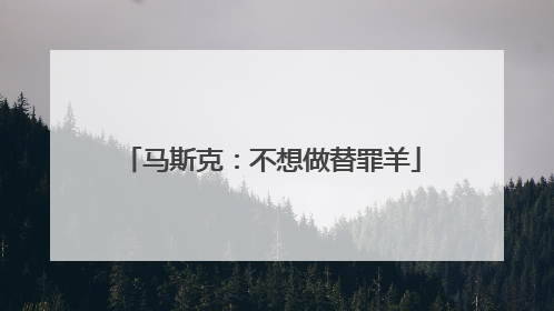 马斯克：不想做替罪羊