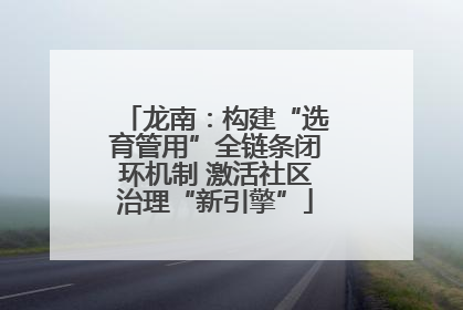 龙南：构建“选育管用”全链条闭环机制 激活社区治理“新引擎”