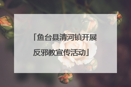 鱼台县清河镇开展反邪教宣传活动