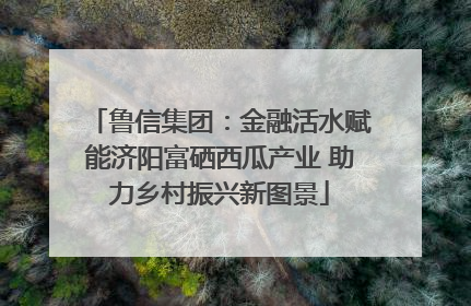 鲁信集团：金融活水赋能济阳富硒西瓜产业 助力乡村振兴新图景