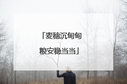 麦穗沉甸甸 粮安稳当当