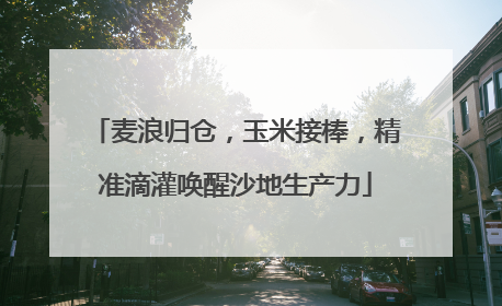 麦浪归仓，玉米接棒，精准滴灌唤醒沙地生产力