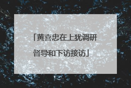 黄喜忠在上犹调研督导和下访接访