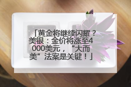 黄金将继续闪耀？美银：金价将涨至4000美元，“大而美”法案是关键！