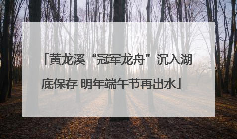 黄龙溪“冠军龙舟”沉入湖底保存 明年端午节再出水