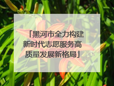 黑河市全力构建新时代志愿服务高质量发展新格局