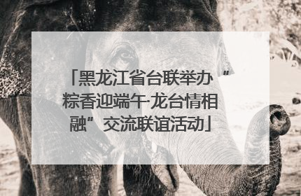 黑龙江省台联举办“粽香迎端午·龙台情相融”交流联谊活动