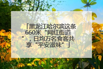 黑龙江哈尔滨这条660米“网红街道”，日均万名食客共享“平安滋味”