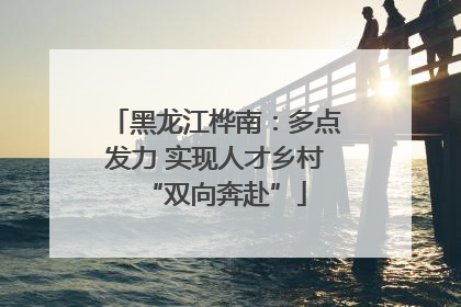 黑龙江桦南：多点发力 实现人才乡村“双向奔赴”