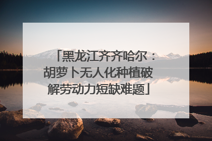 黑龙江齐齐哈尔：胡萝卜无人化种植破解劳动力短缺难题