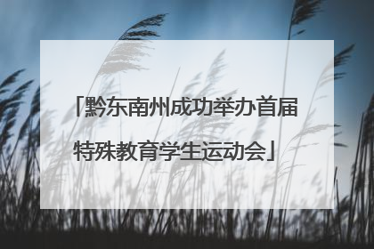 黔东南州成功举办首届特殊教育学生运动会