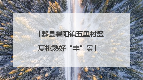 黟县碧阳镇五里村盛夏桃熟好“丰”景