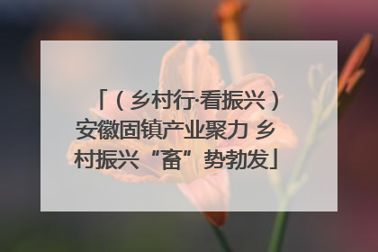 （乡村行·看振兴）安徽固镇产业聚力 乡村振兴“畜”势勃发