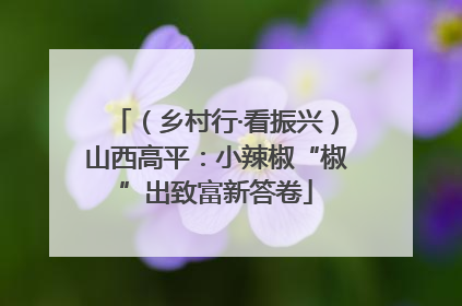 （乡村行·看振兴）山西高平：小辣椒“椒”出致富新答卷