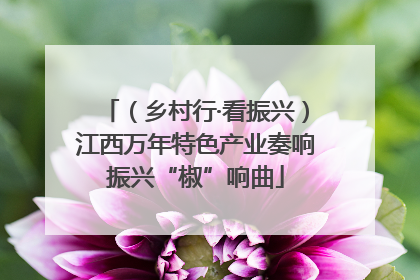 （乡村行·看振兴）江西万年特色产业奏响振兴“椒”响曲