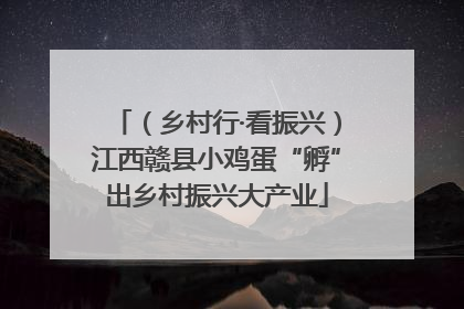 （乡村行·看振兴）江西赣县小鸡蛋“孵”出乡村振兴大产业