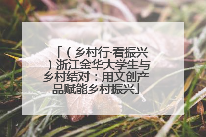 （乡村行·看振兴）浙江金华大学生与乡村结对：用文创产品赋能乡村振兴