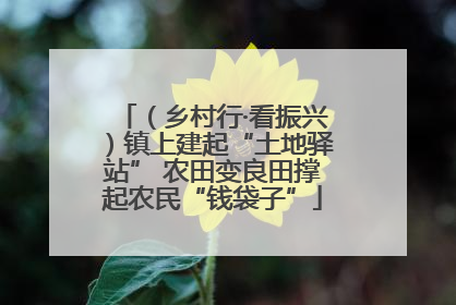 （乡村行·看振兴）镇上建起“土地驿站” 农田变良田撑起农民“钱袋子”