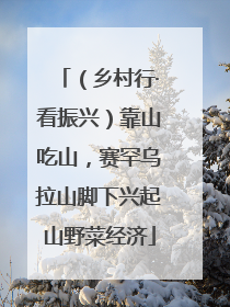 （乡村行·看振兴）靠山吃山，赛罕乌拉山脚下兴起山野菜经济