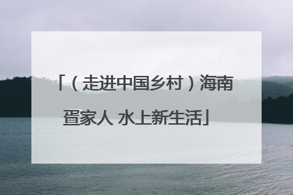 （走进中国乡村）海南疍家人 水上新生活