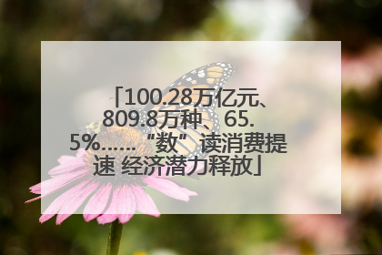 100.28万亿元、809.8万种、65.5%……“数”读消费提速 经济潜力释放