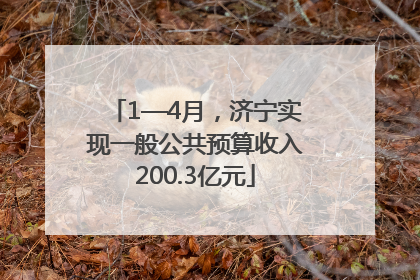 1—4月，济宁实现一般公共预算收入200.3亿元