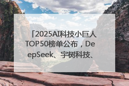 2025AI科技小巨人TOP50榜单公布，DeepSeek、宇树科技、蘑菇车联等企业荣誉上榜