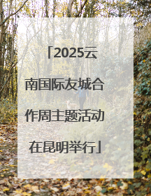 2025云南国际友城合作周主题活动在昆明举行