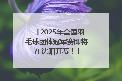 2025年全国羽毛球团体冠军赛即将在沈阳开赛！