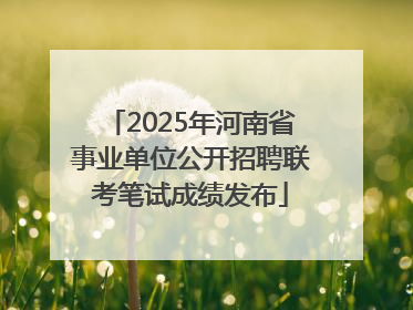 2025年河南省事业单位公开招聘联考笔试成绩发布