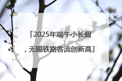 2025年端午小长假，无锡铁路客流创新高