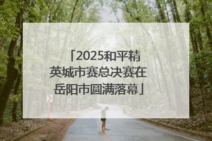 2025和平精英城市赛总决赛在岳阳市圆满落幕