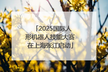 2025国际人形机器人技能大赛在上海张江启动