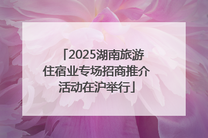 2025湖南旅游住宿业专场招商推介活动在沪举行