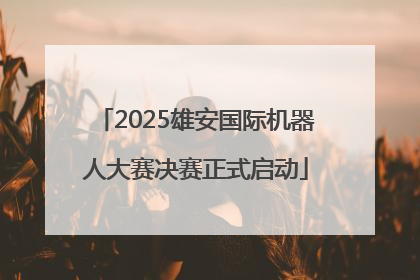 2025雄安国际机器人大赛决赛正式启动